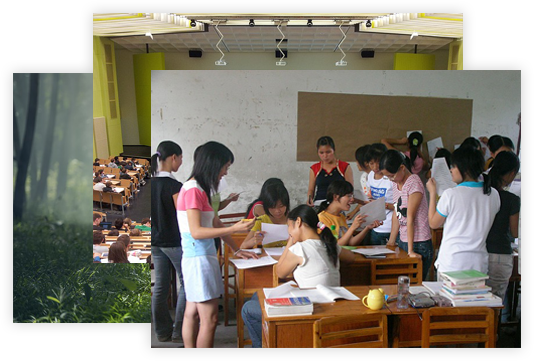 img-top-level